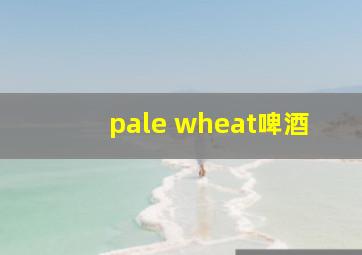 pale wheat啤酒